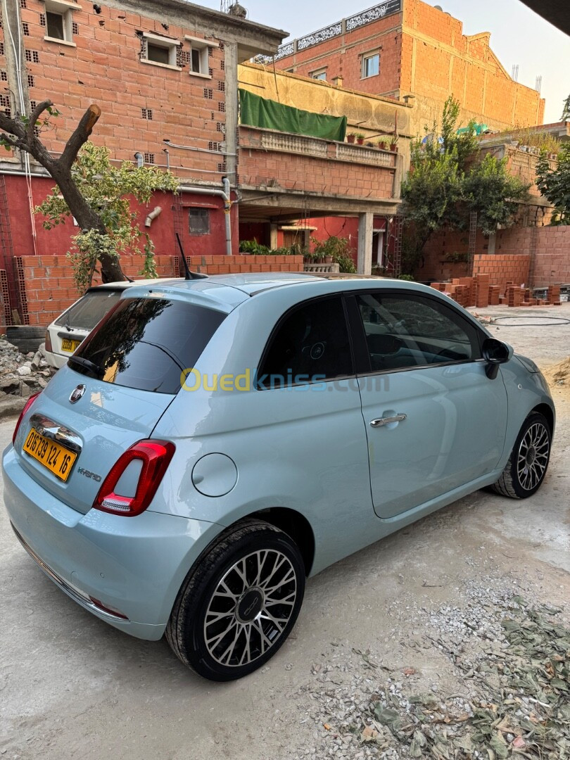 Fiat 500 2024 