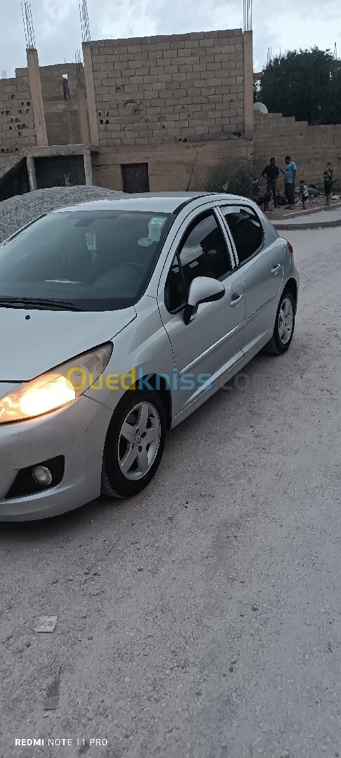 Peugeot 207 2011 Fennec