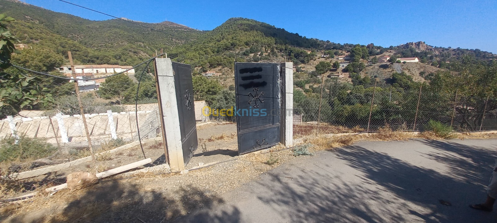 Vente Terrain Tipaza Larhat