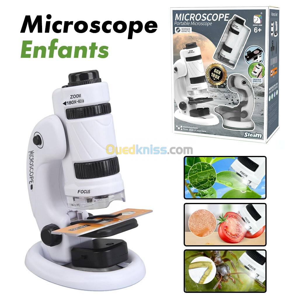 Kit de microscope pour enfants, 60X-180X avec support amovible LED double lumière