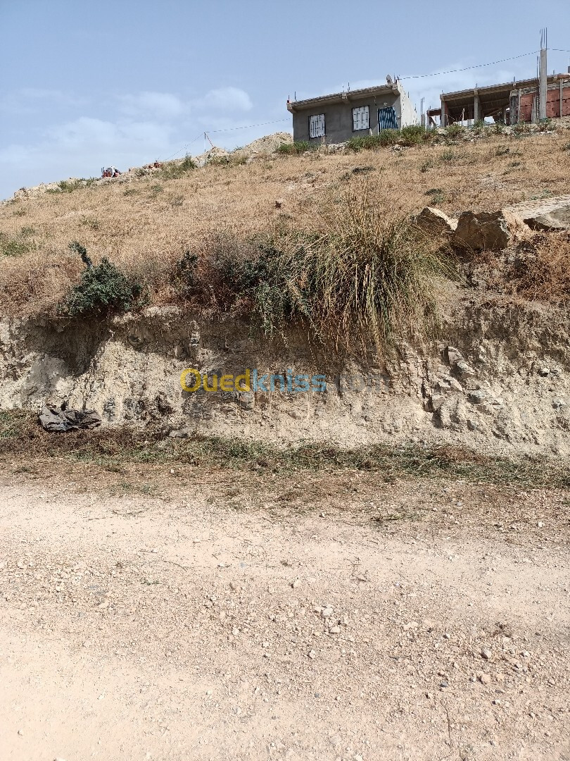 Vente Terrain Blida Bougara