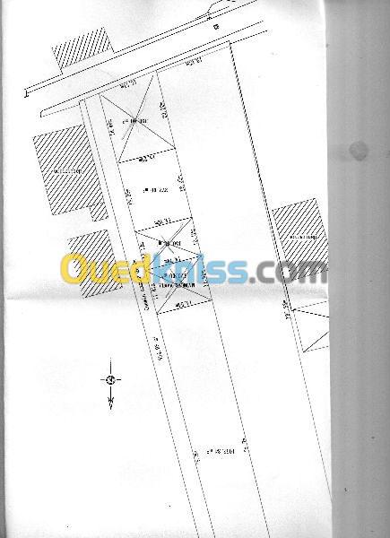 Vente Terrain Alger Ouled chebel