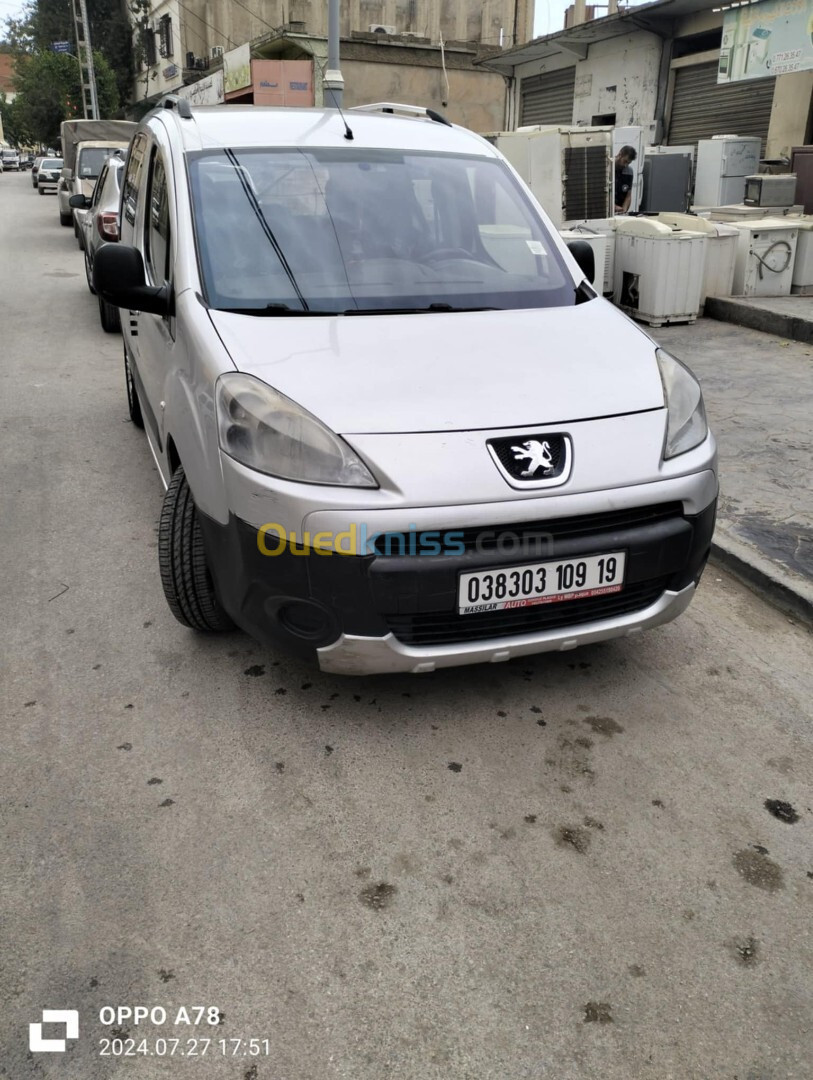 Peugeot Partner 2009 Tepee