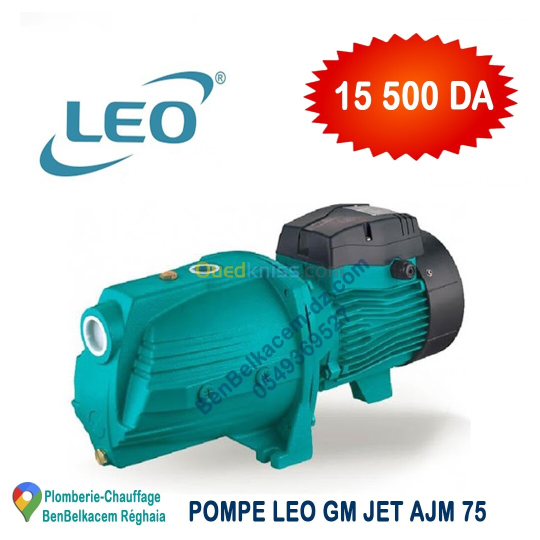 POMPE EAU LEO MOTEUR POMPE EAU LEO CERVEAU MATIC LEO 