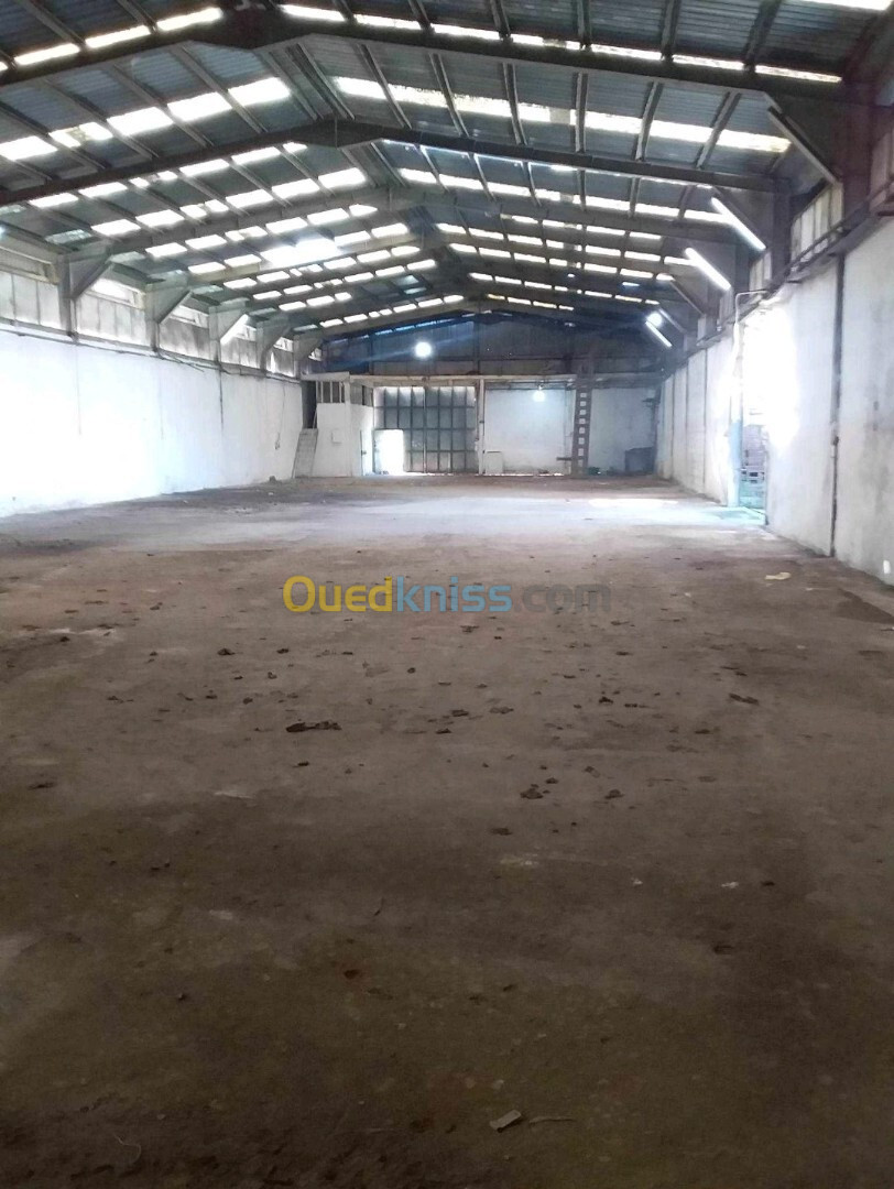 Vente Hangar Annaba Annaba