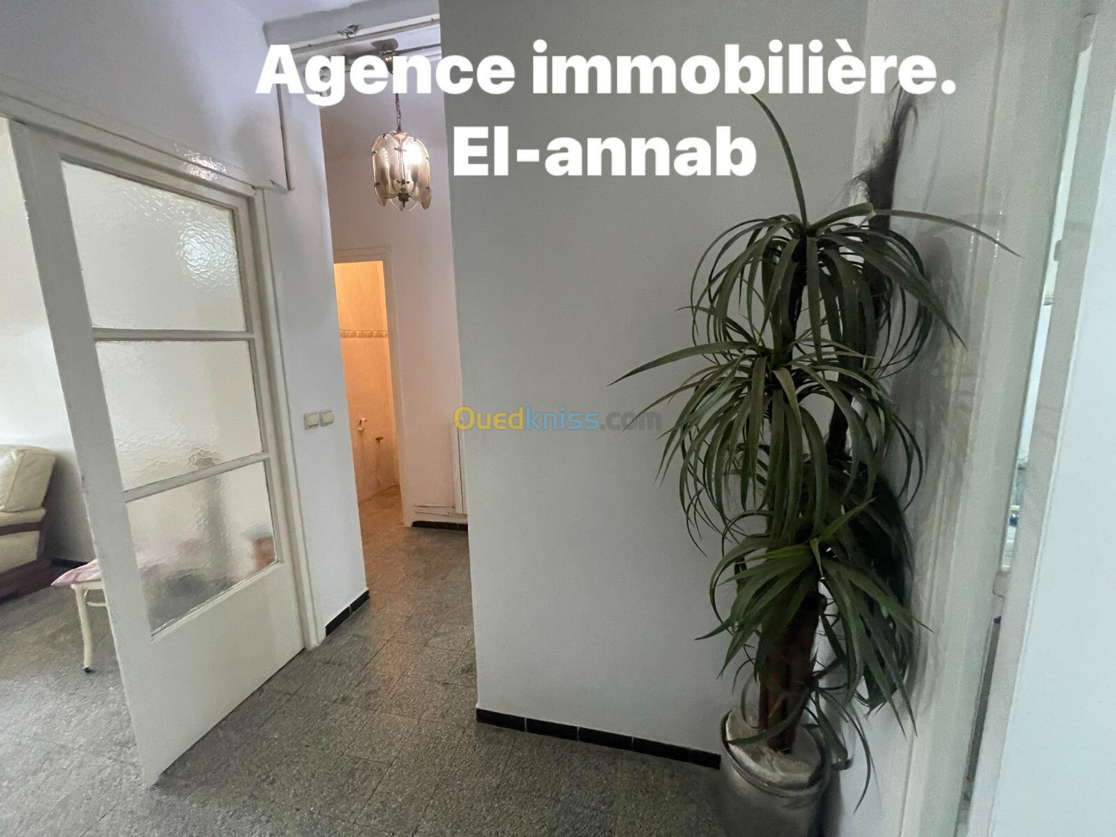 Location Appartement F3 Annaba Annaba