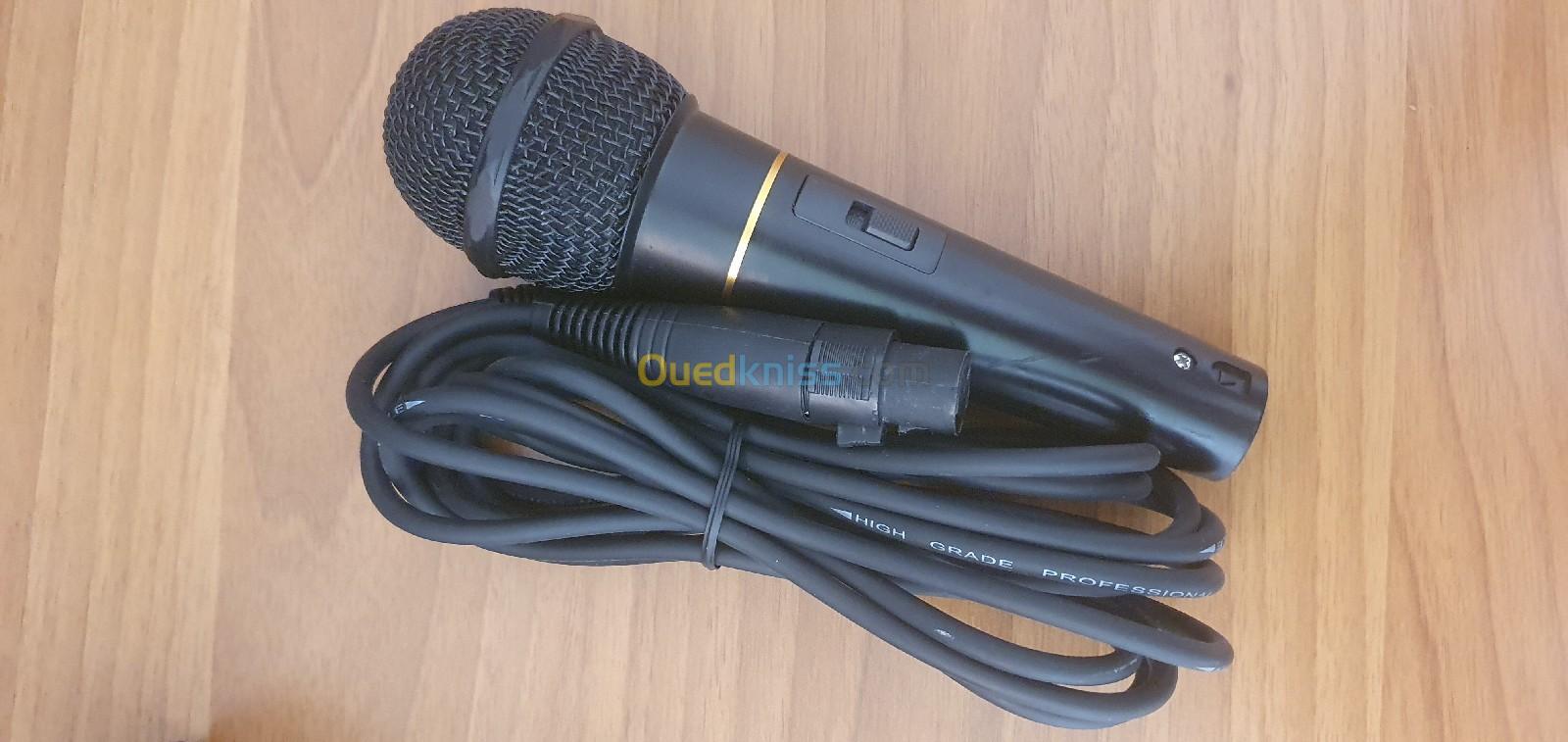 Microphone