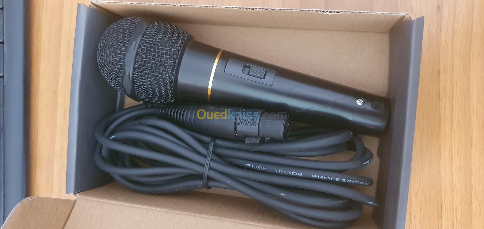 Microphone