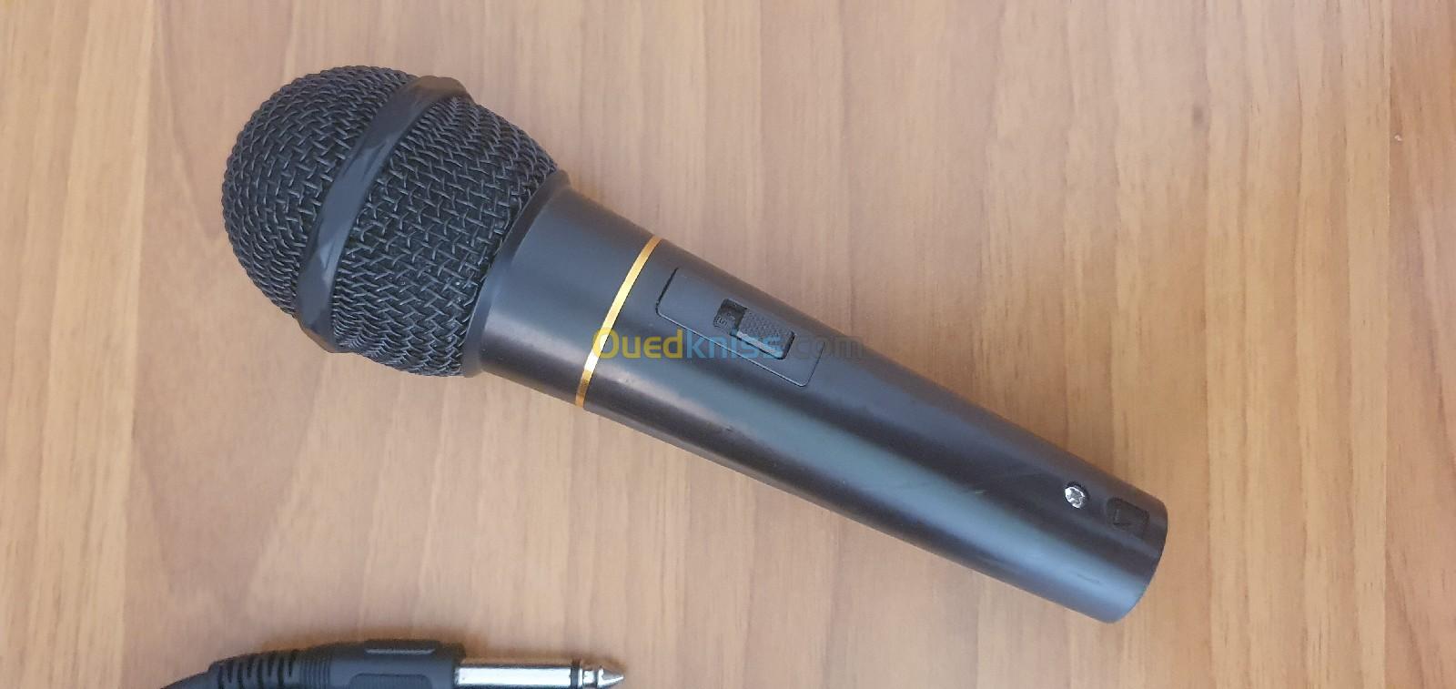 Microphone