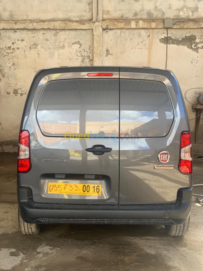 Fiat Professional Doblo 2024 2024