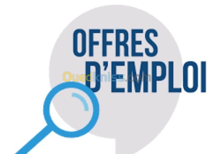 Offres d'emploi 