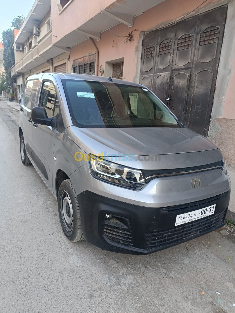 Fiat Doblo 2024 Professional