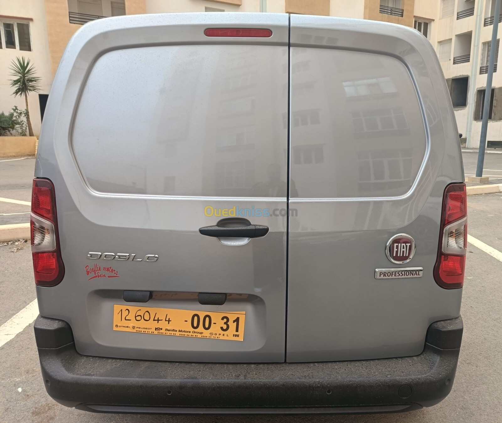 Fiat Doblo 2024 Professional