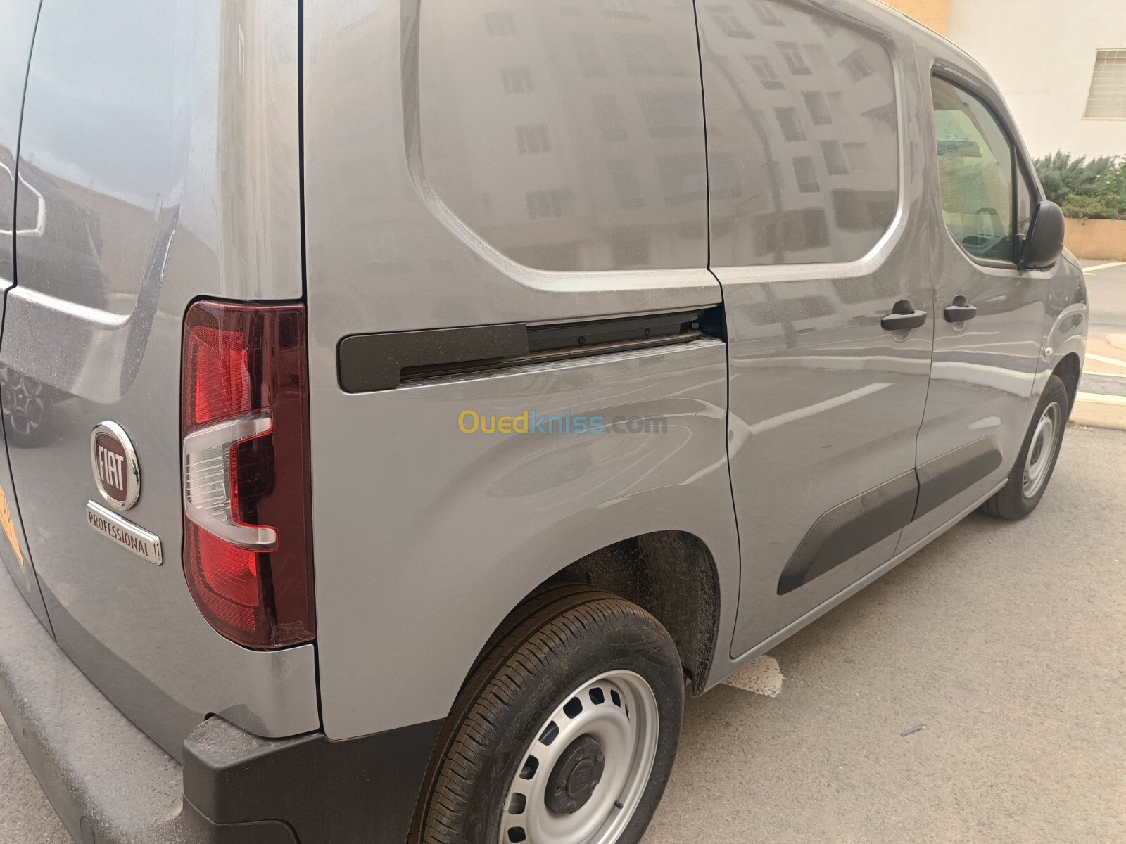 Fiat Doblo 2024 Professional