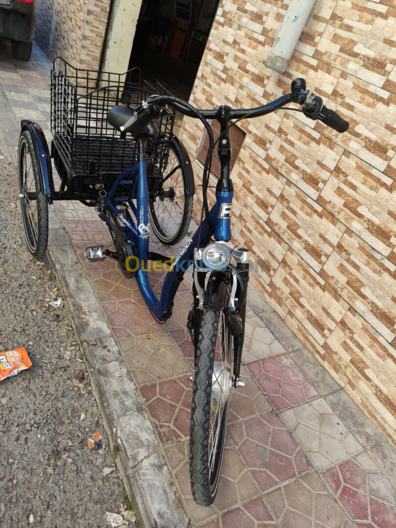 Vélo 3 roues éléctrique