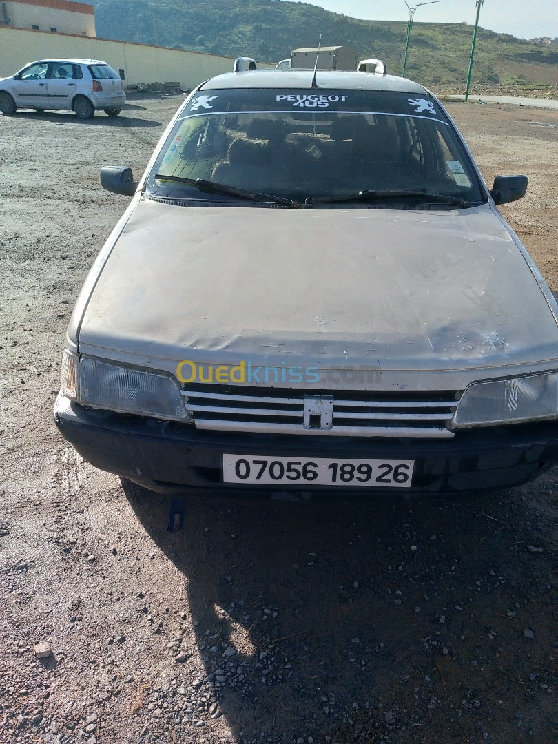 Peugeot 405 1989 405