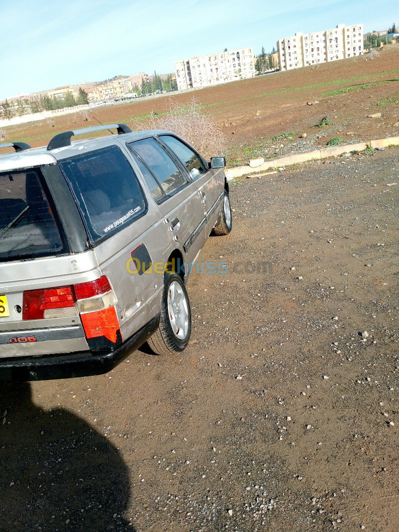 Peugeot 405 1989 405