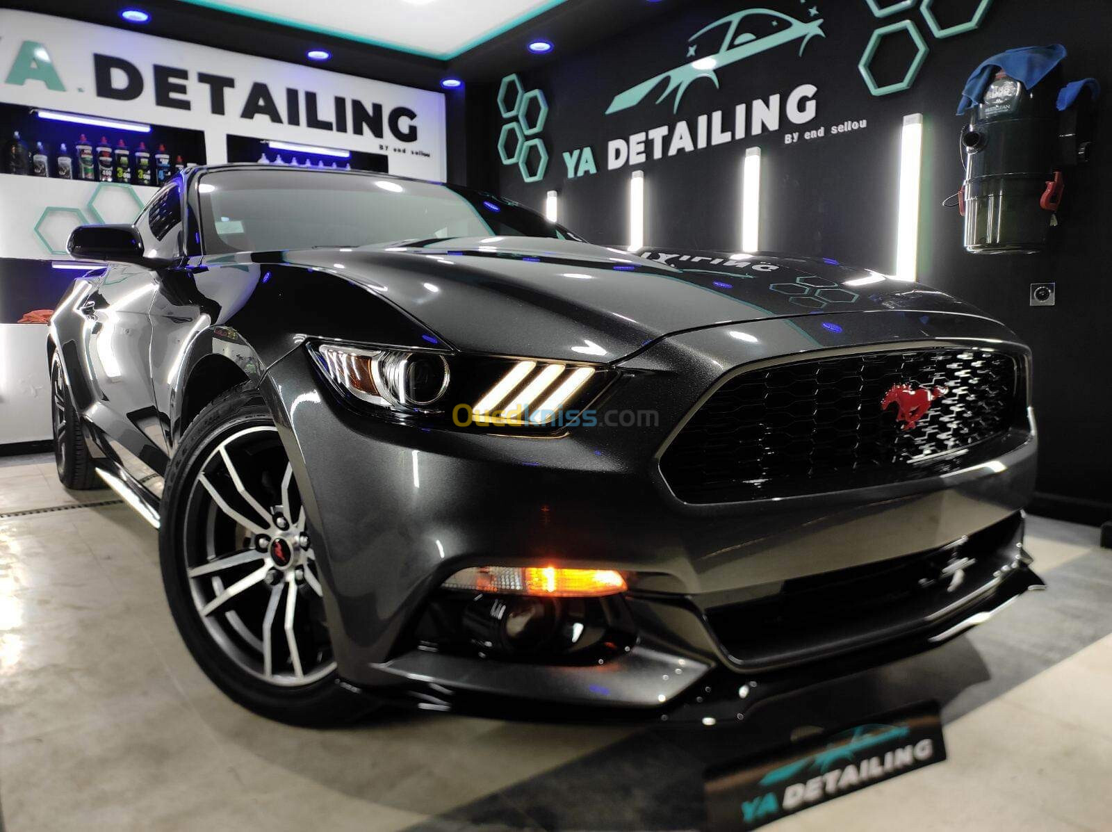 Ford MUSTANG 2019 Performance 317 cv