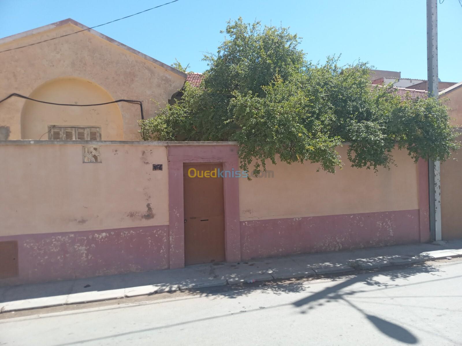 Vente Villa Sidi Bel Abbès Sidi bel abbes