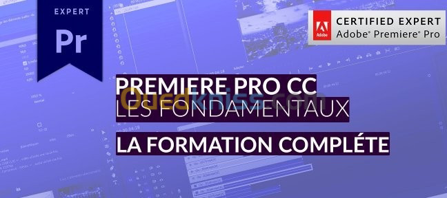 Formations & Tutoriels de Logiciels Professionnels en Français