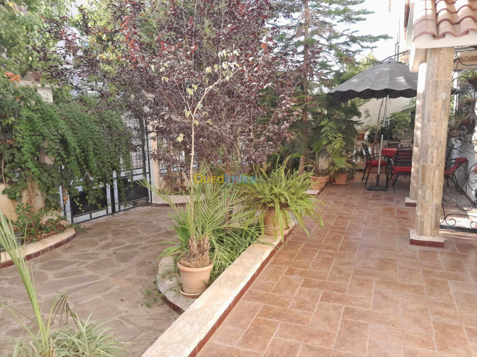 Vente Villa Chlef Chlef