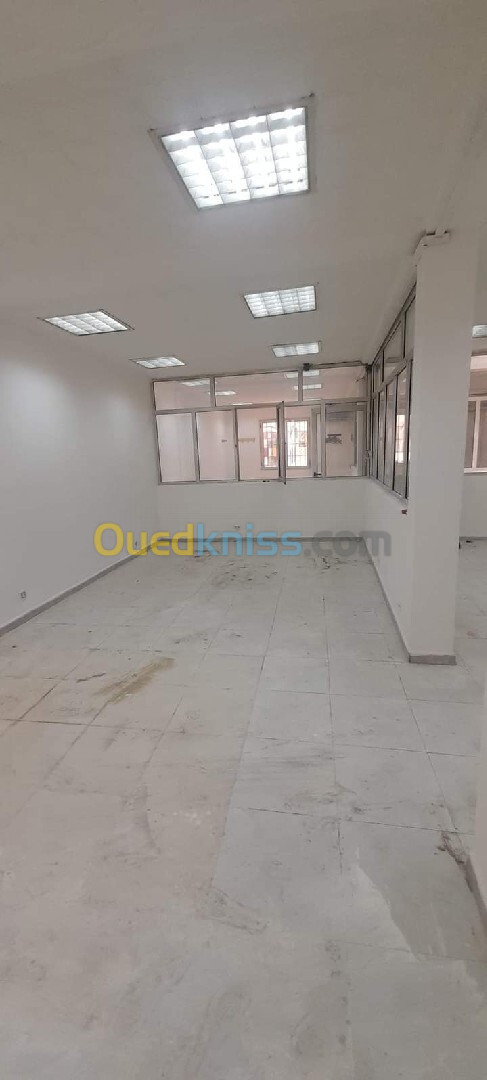 Location Appartement F3 Alger El biar