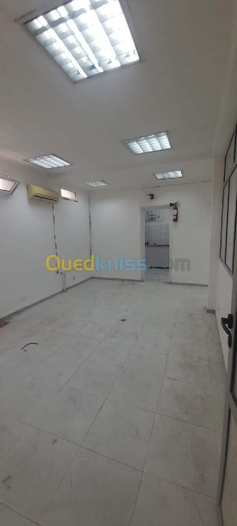 Location Appartement F3 Alger El biar