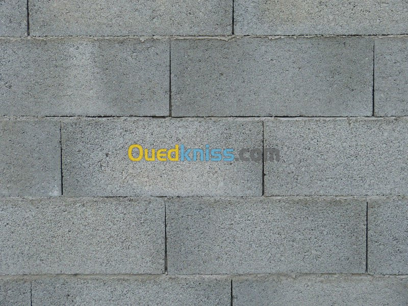  BÉTON MULTI SERVICE   