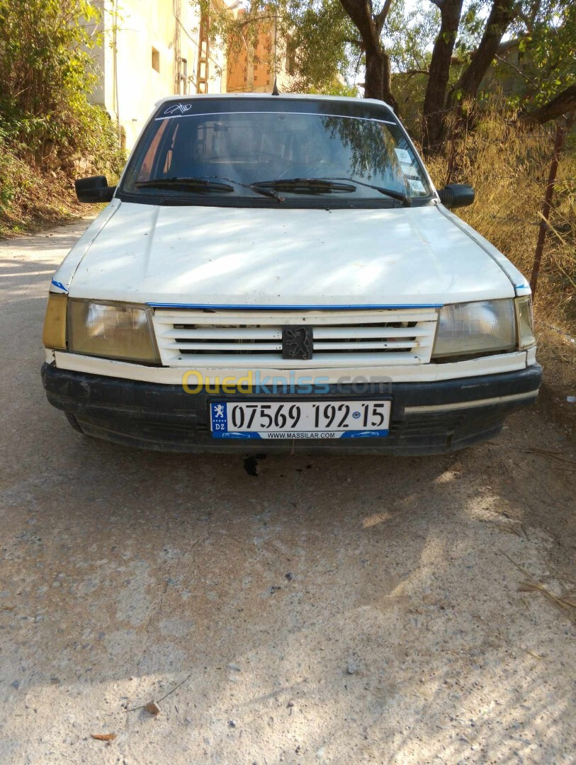 Peugeot 309 1992 309