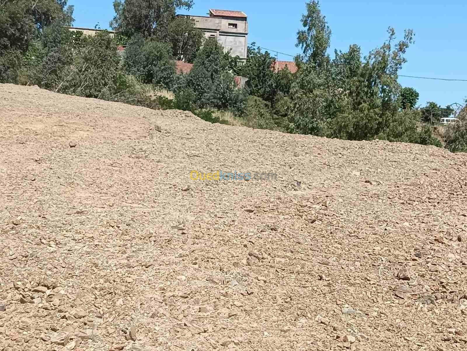 Vente Terrain Blida Chrea