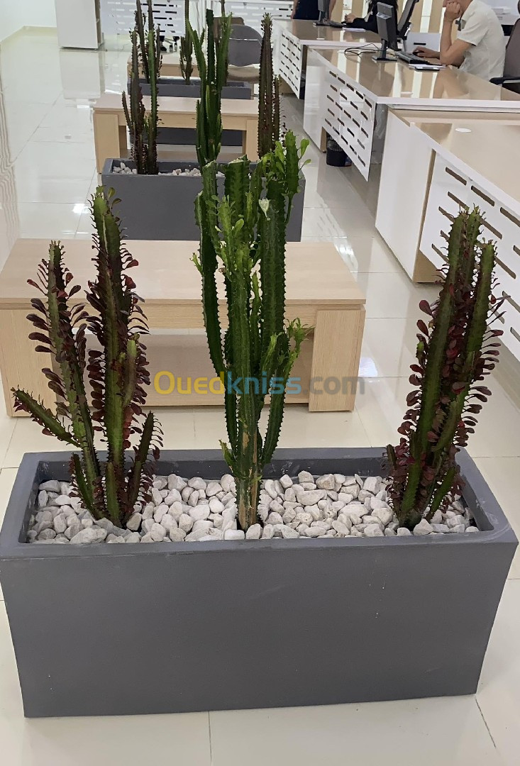 Pot de plantes et fleur pour décoration intérieur et extérieur en polyéthylène et en resine