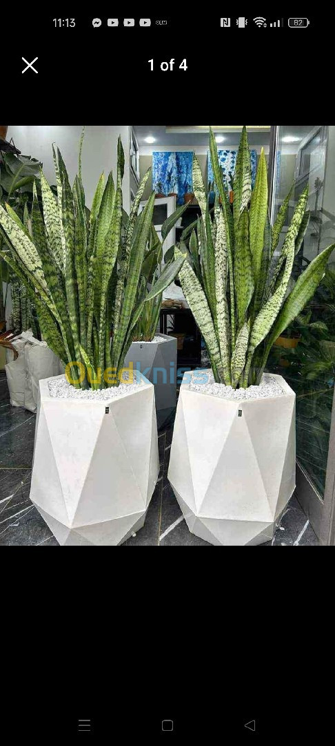 Pot de plante diamant en polyéthylène pour décoration intérieur et extérieur محابس 