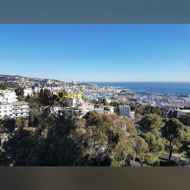 Vente Immeuble Alger El mouradia