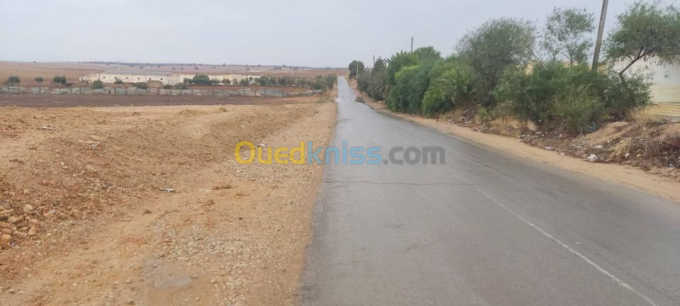 Vente Terrain Sidi Bel Abbès Amarnas