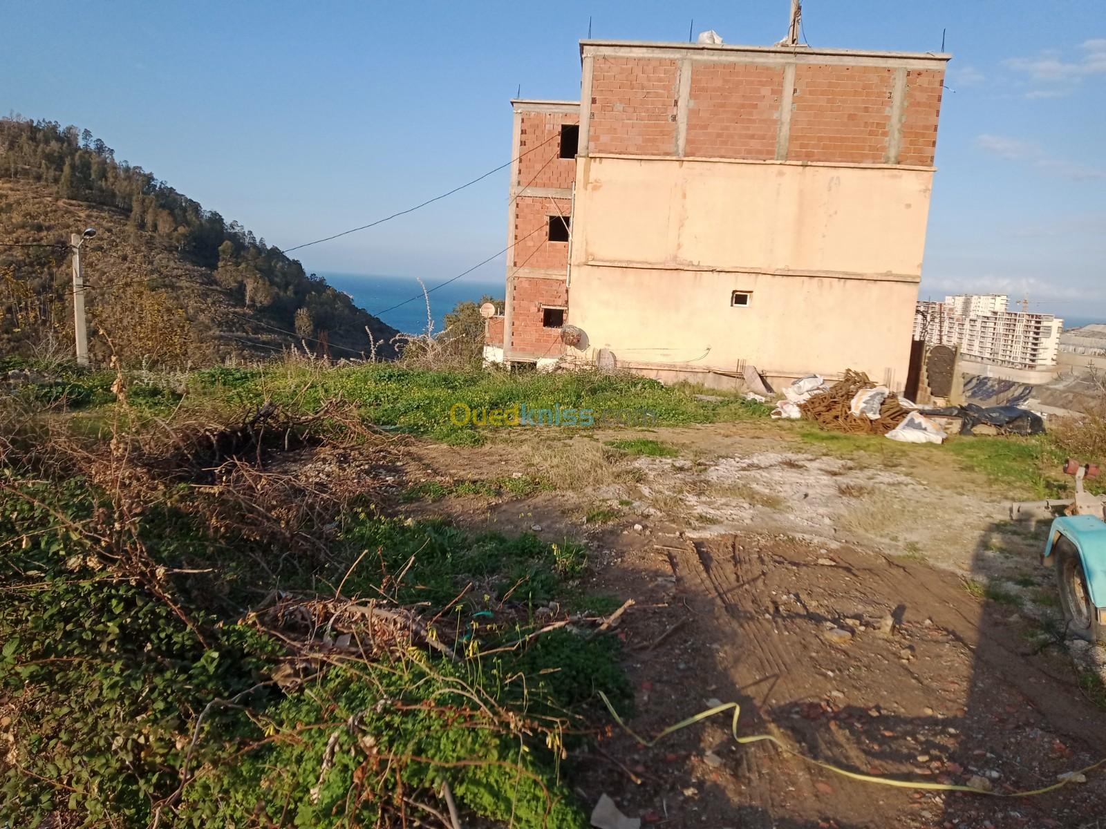 Vente Terrain Skikda Skikda