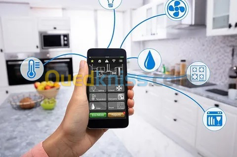 Smart Home & Domotique