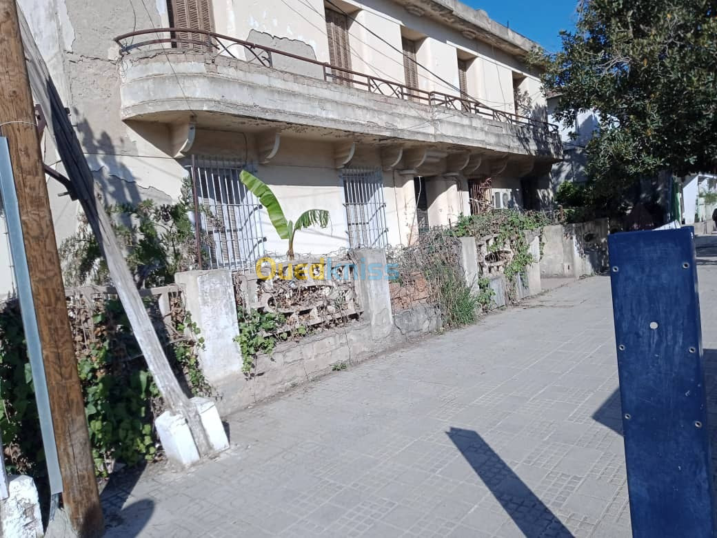 Vente Villa Guelma Guelma