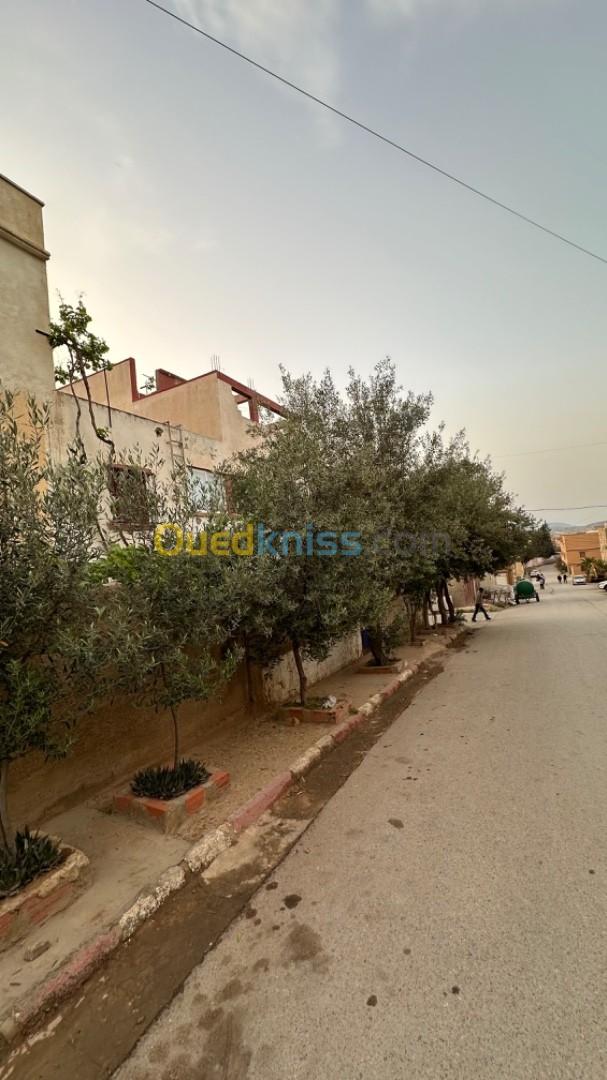 Vente Appartement Relizane Sidi mhamed ben ali