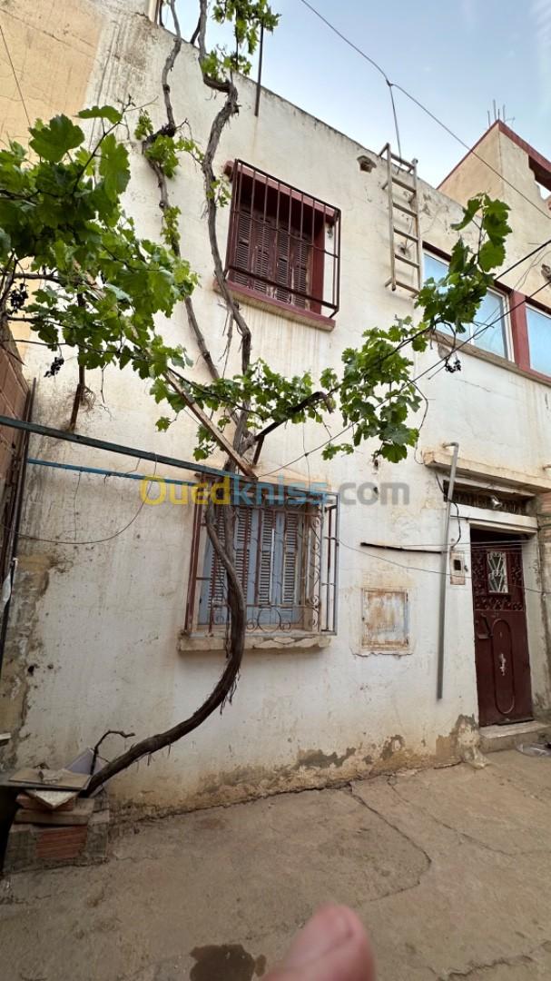 Vente Appartement Relizane Sidi mhamed ben ali