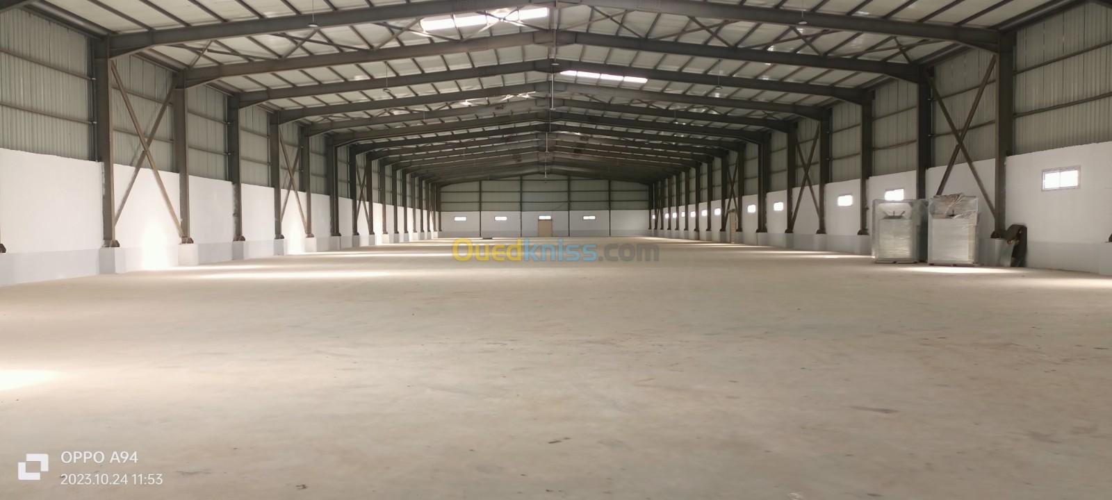 Location Hangar Blida Chebli