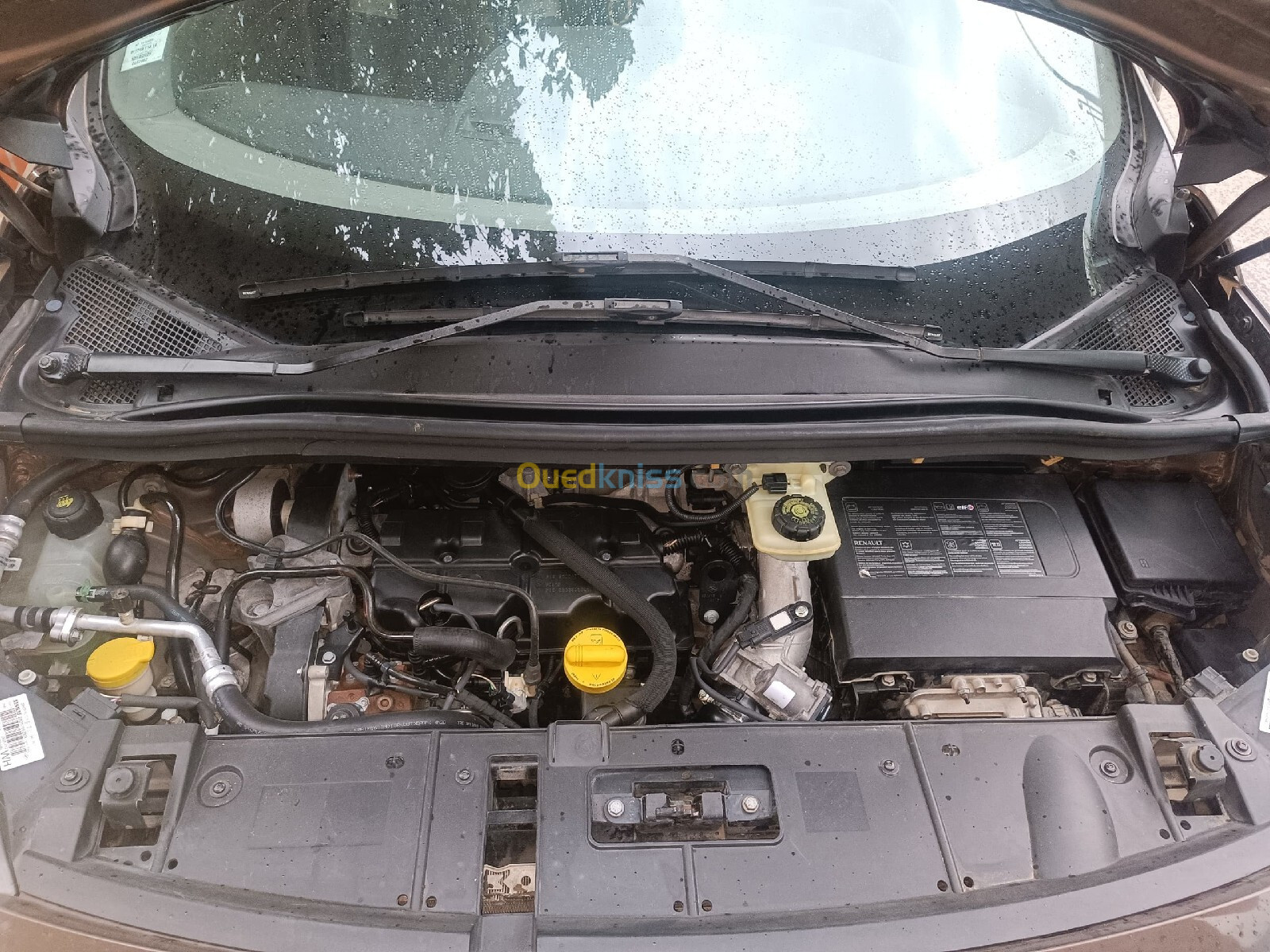 Renault Scenic 2014 Scenic