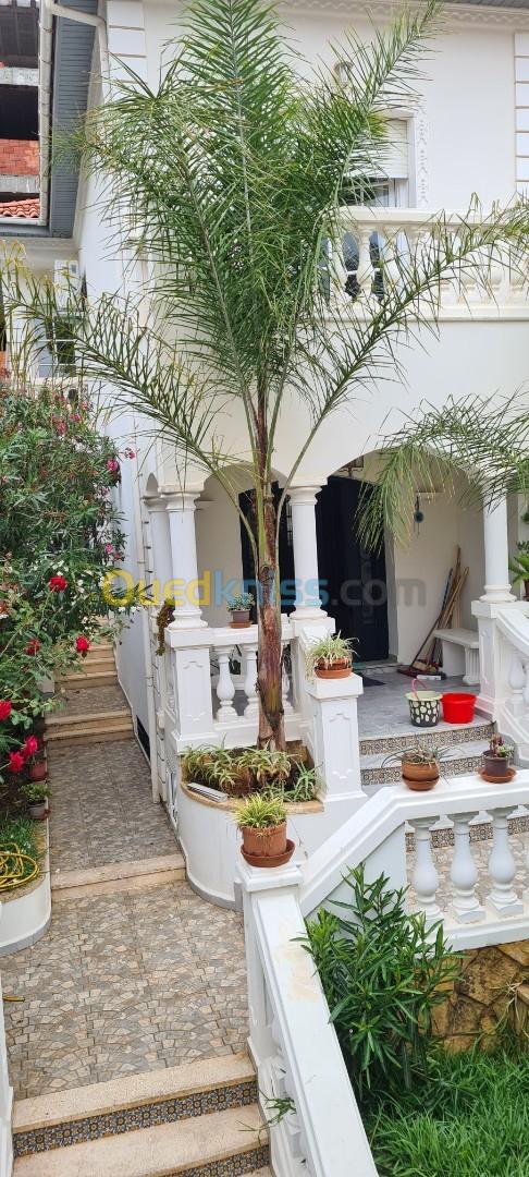 Location Villa Alger Birkhadem