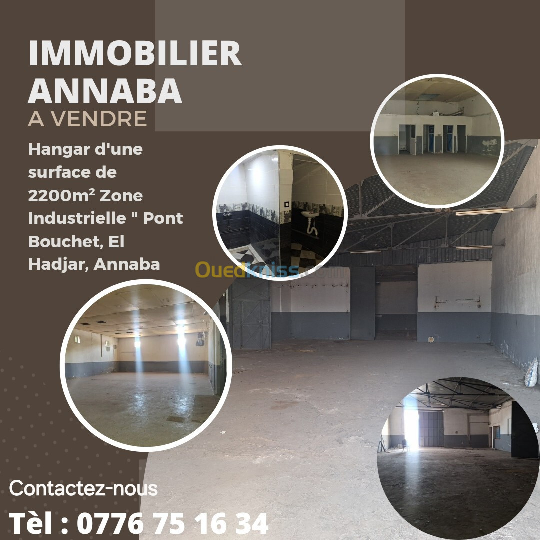 Vente Hangar Annaba Annaba