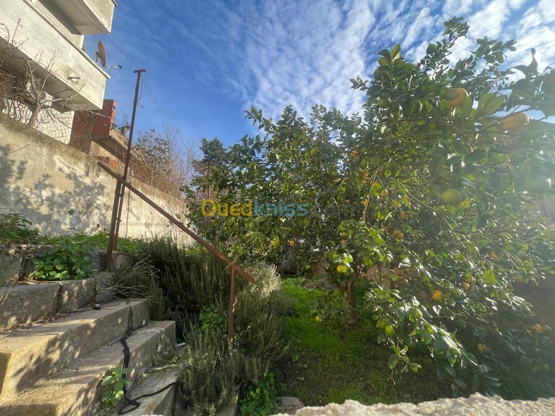 Vente Terrain Alger Bouzareah