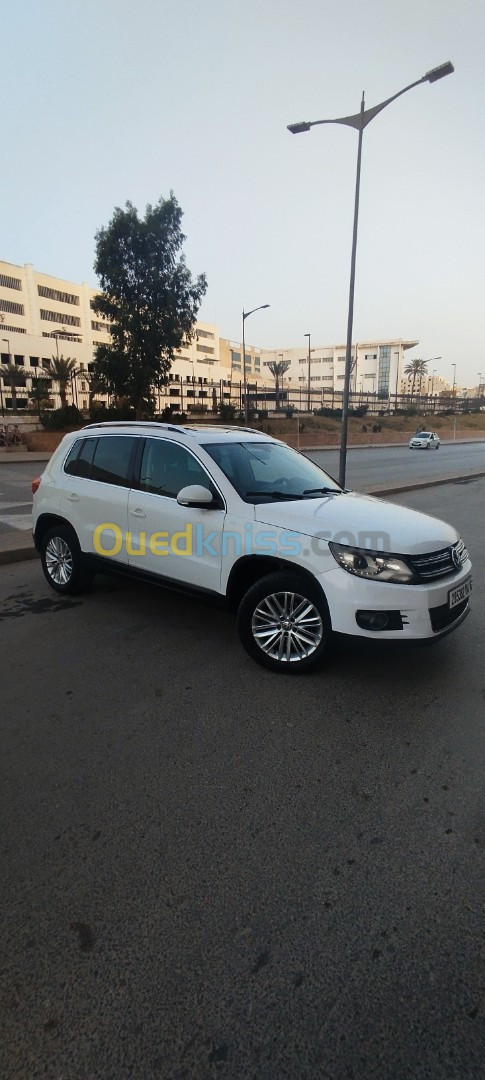 Volkswagen Tiguan 2014 Cup