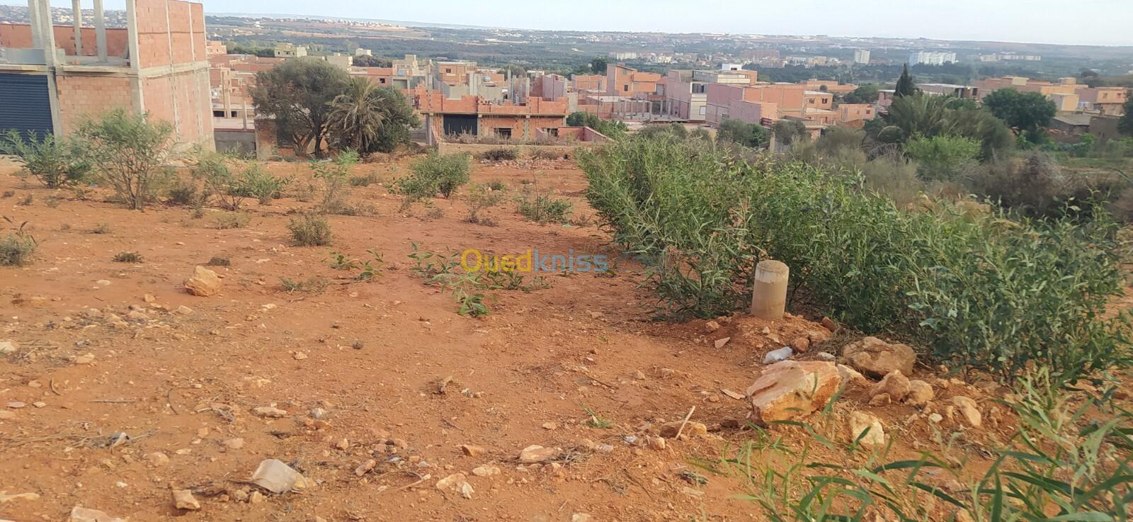 Vente Terrain Mostaganem Sayada