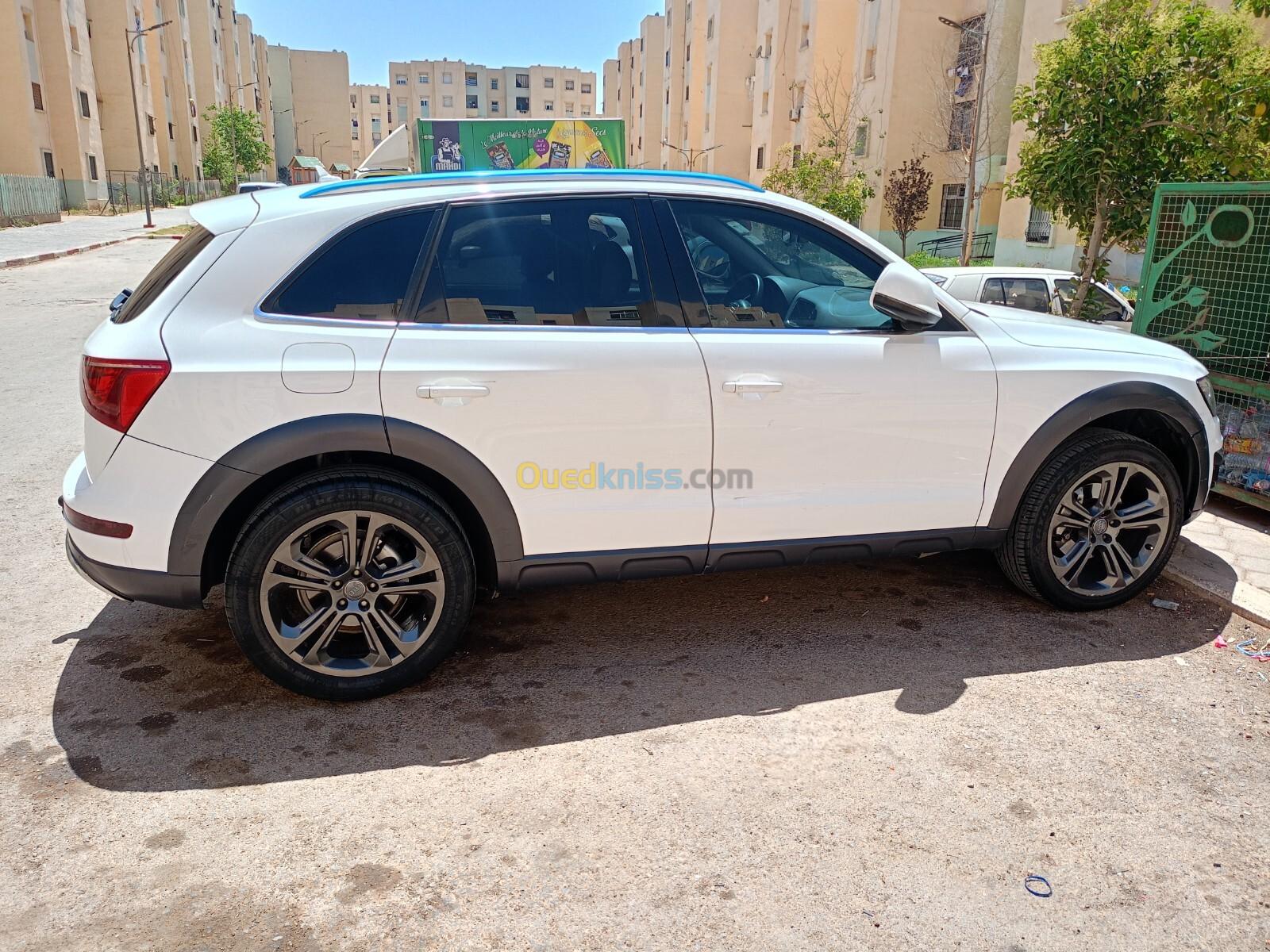 Audi Q5 2013 Off Road