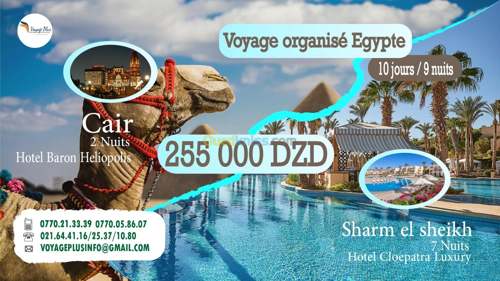 voyage organisée le cair /sharm el sheikh