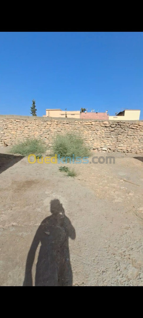 Vente Terrain Sidi Bel Abbès Sidi bel abbes