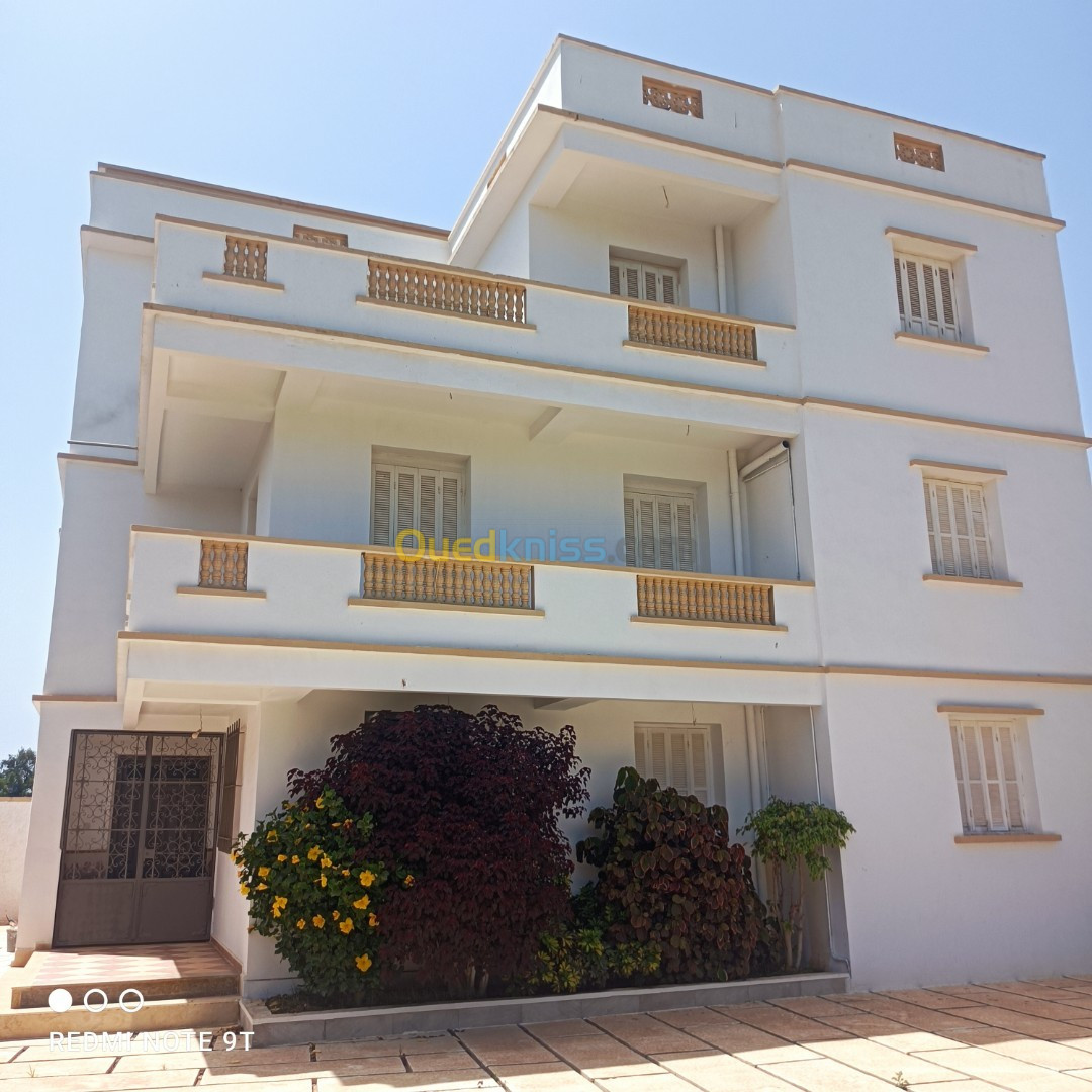 Vente Villa Alger Reghaia